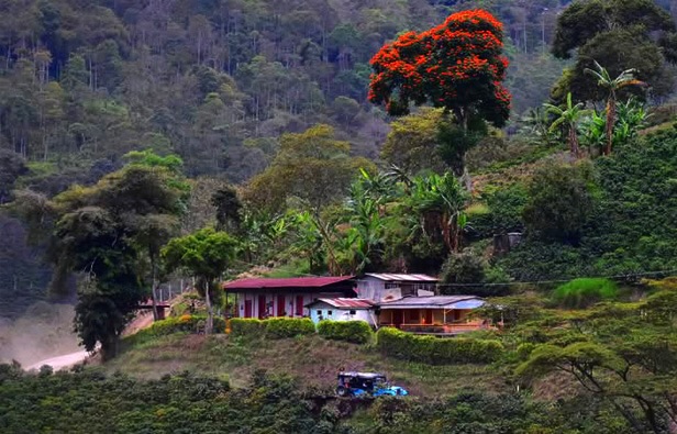 ecoturismo inclusivo y naturaleza 4