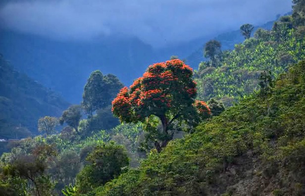 ecoturismo inclusivo y naturaleza 5