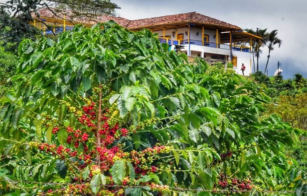 ecoturismo inclusivo y naturaleza